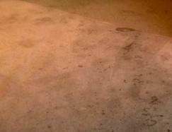 Stains removal service in houston, heavy Stained carpet