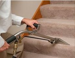 Professional Carpet Cleaning Companies, Restore high traffic areas