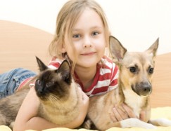  Young child with a dog and a cat on a clean carpet