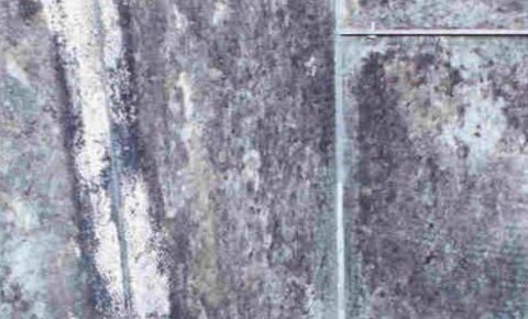 mold grewing in an air duct