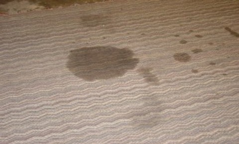 oil stain on carpet