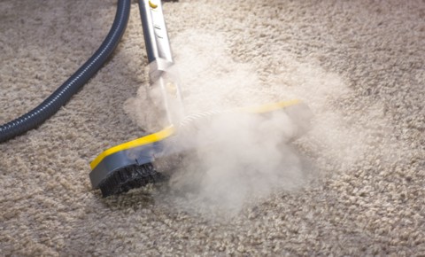 Professional steam cleaning and removing stains from carpet