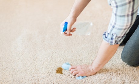 women working hard trying to remove stain from carpet