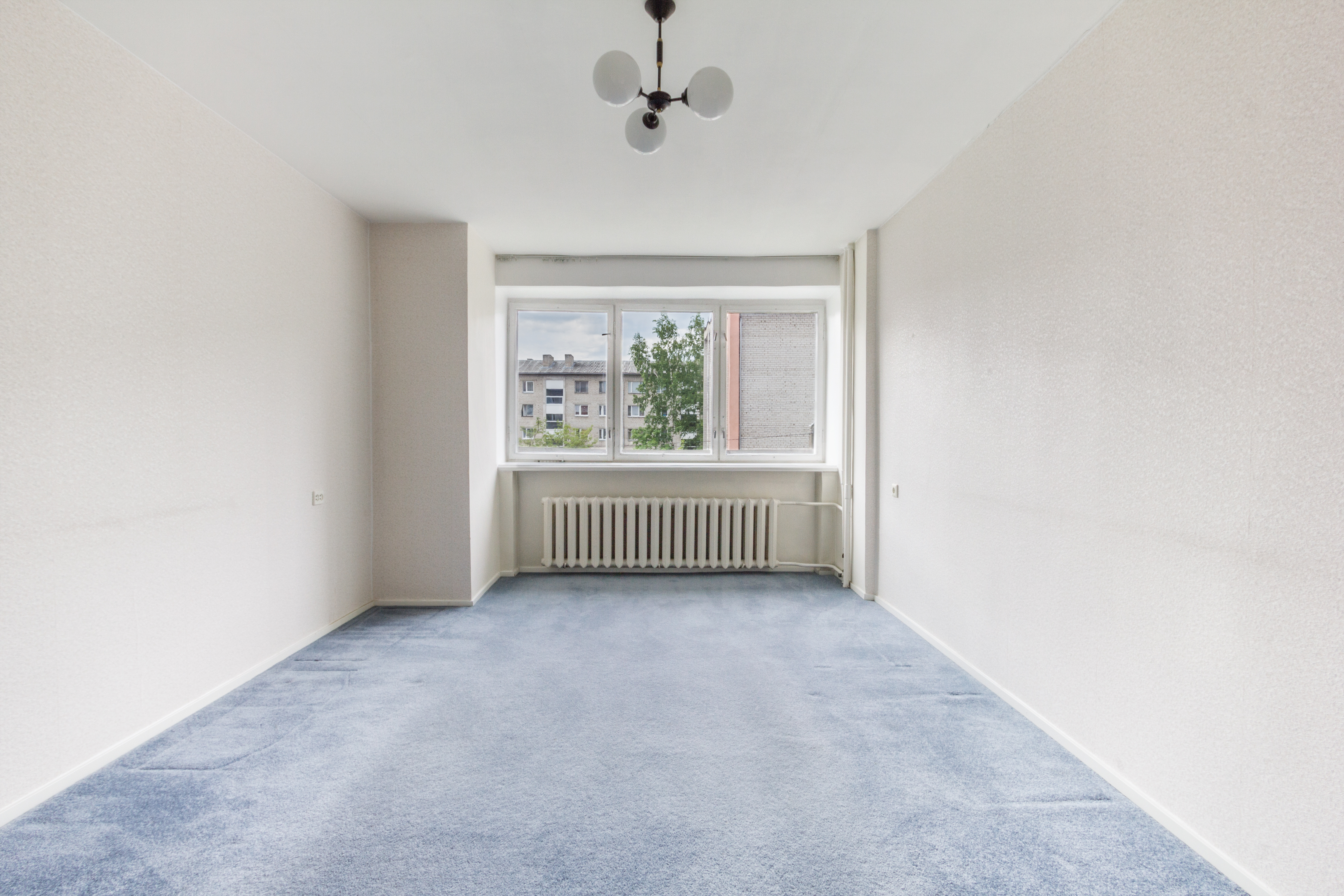 Steam clean the carpet in your entire house