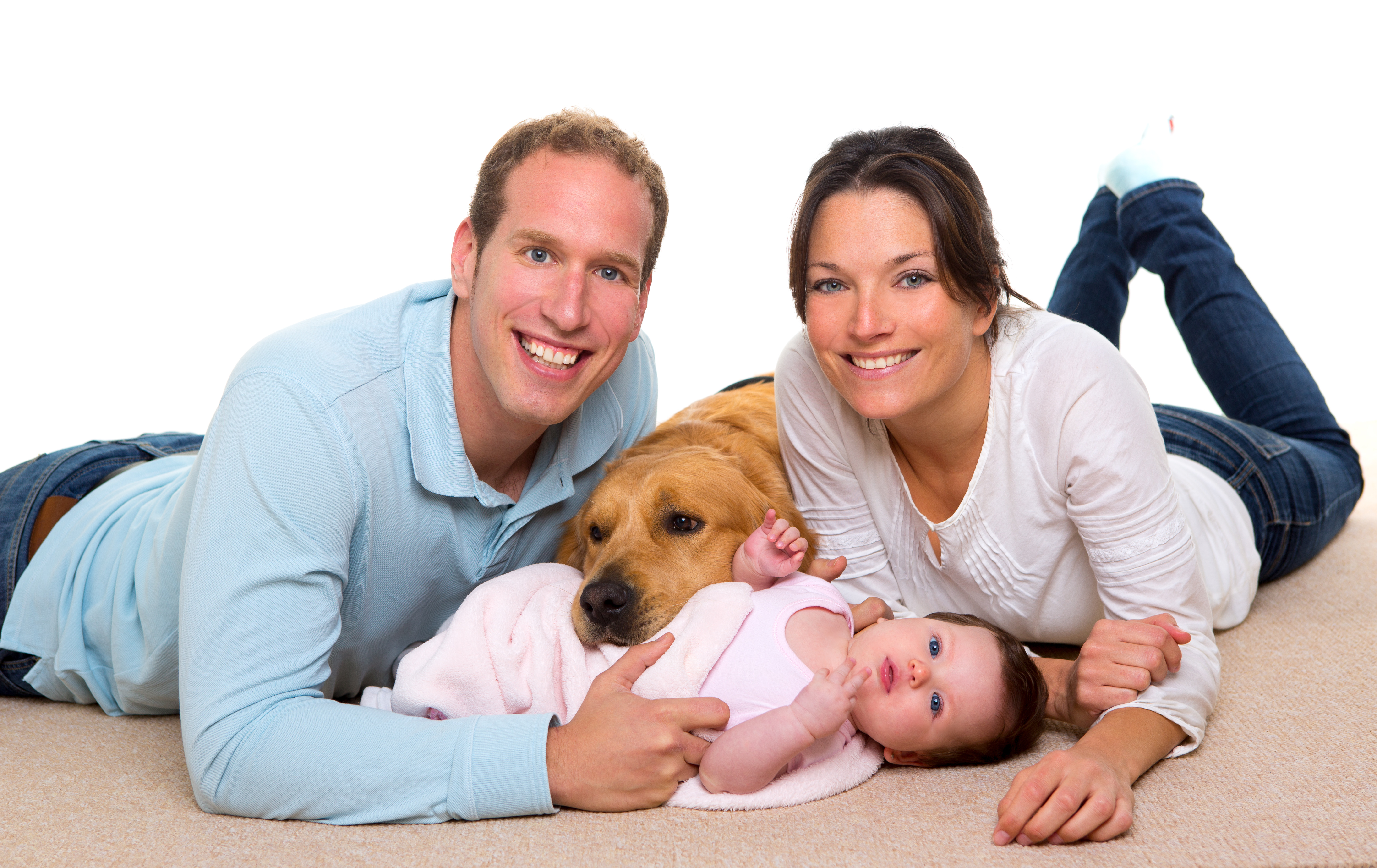 Child with dog and cat on clean steamed carpet